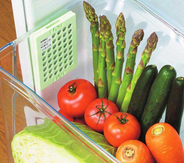 ����Ĺ�����ץ졼�ȡ�������