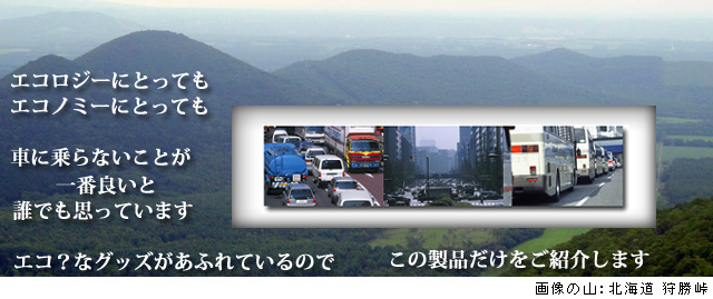 エコロジーにとってもエコノミーにとっても車に乗らないことが一番良いと誰でも思っているのです